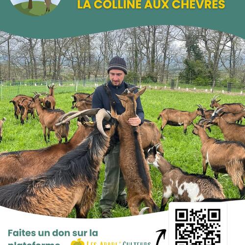 Flyer Colline aux chevres-1-1.jpg