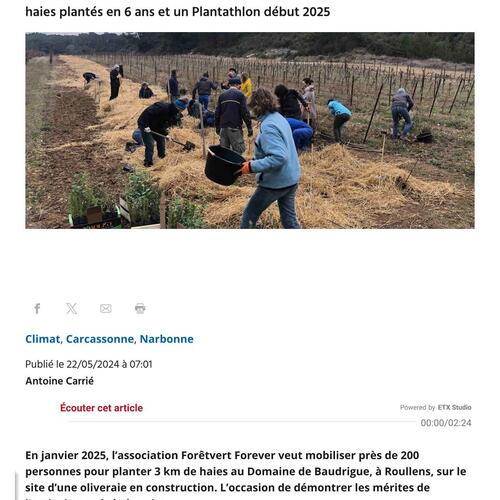 Changement climatique dans l'Aude _ avec Forêtvert Forever, 10 km de haies plantés en 6 ans et un Plantathlon début 2025 - lindependant.fr-1.jpg
