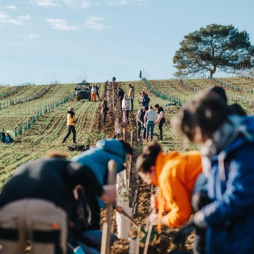 WhatsApp Image 2025-01-11 at 18.34.07 (3).jpeg