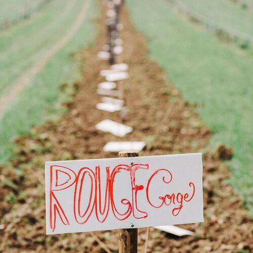 WhatsApp Image 2025-01-11 at 18.36.11.jpeg