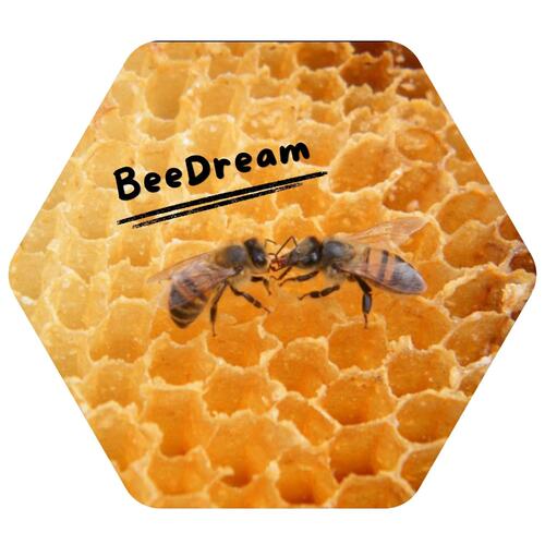 BeeDream.jpg